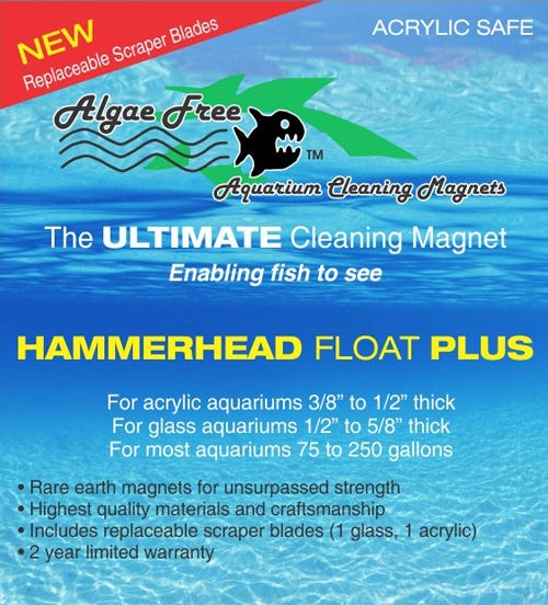 Hammerhead4.jpg