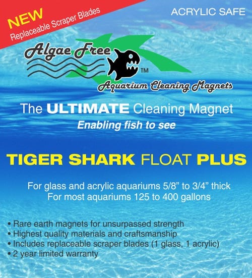 TigerShark4.jpg
