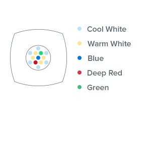 primeFW5.jpg