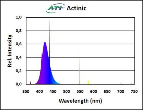 actinic.jpg