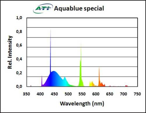 aquablue.jpg