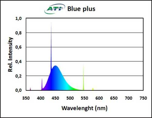 blue_plus.jpg