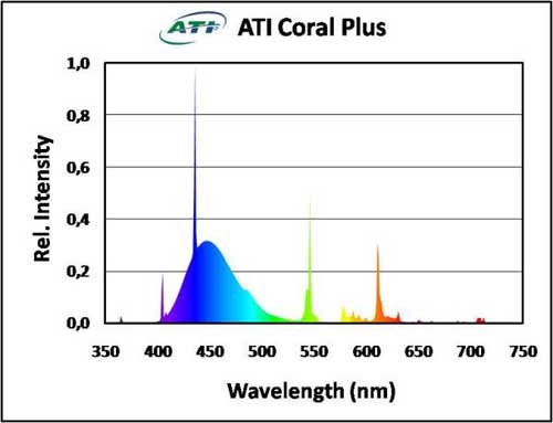 coralplus2.jpg